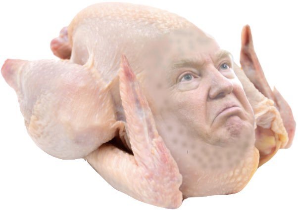 Trump Turkey.jpg