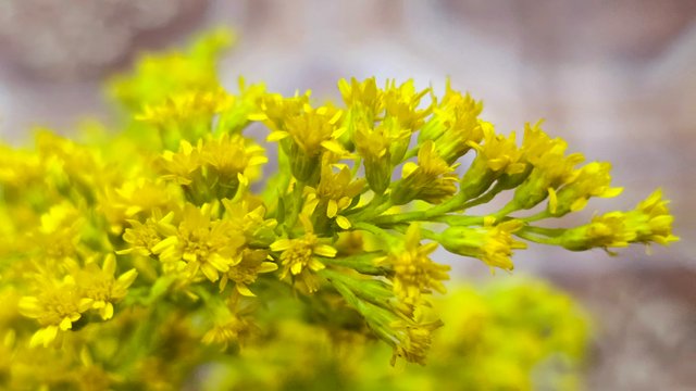 20250512_001711.jpg