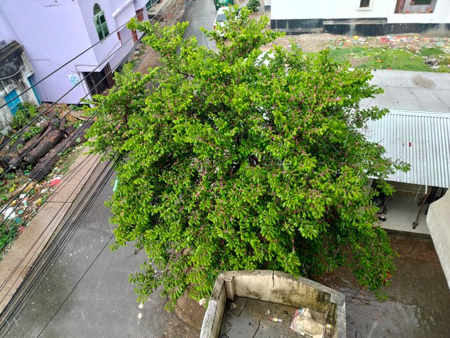 1000029395.jpg