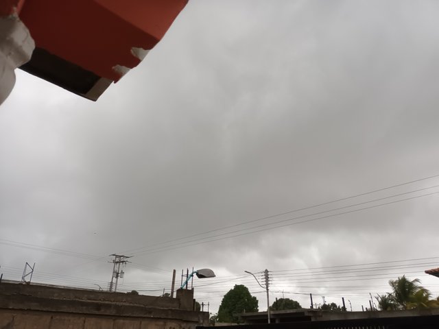 20250508_064647.jpg