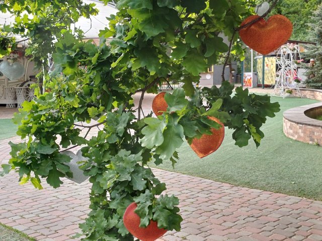 20250517_170422.jpg