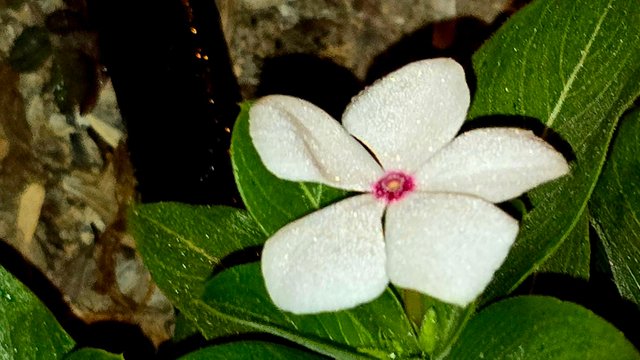20241210_021831.jpg