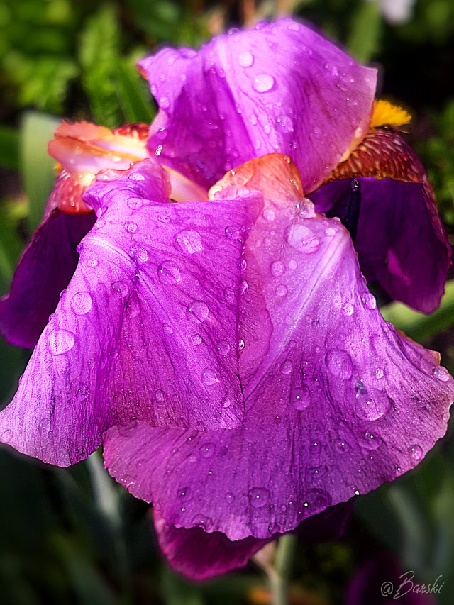 20190525_172635.png