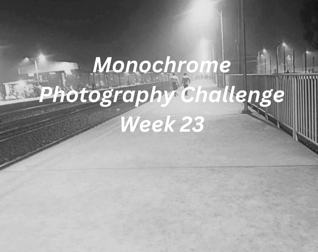 Monochrome Photography Challenge Week 23.png