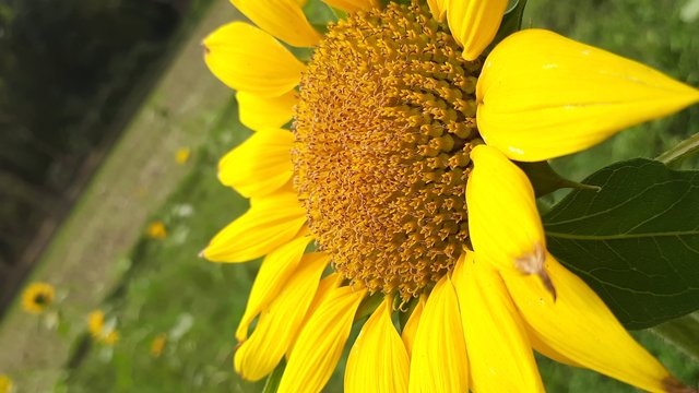 20210310_121301.jpg