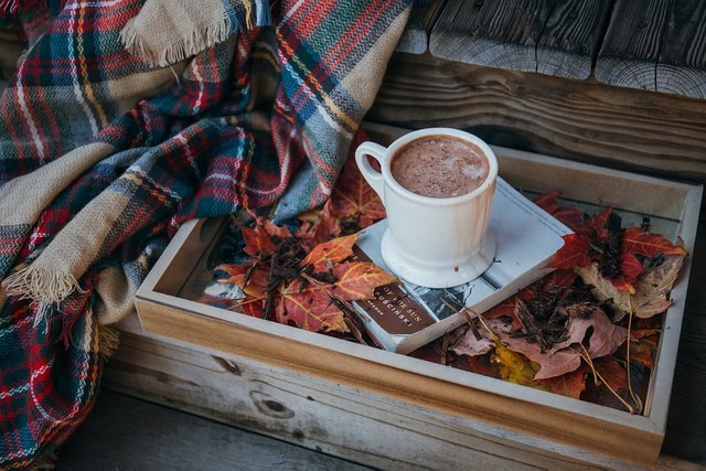 hot chocolate - coffee-2179009_960_720.jpg