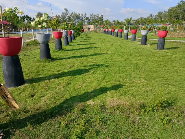 1000048402.jpg