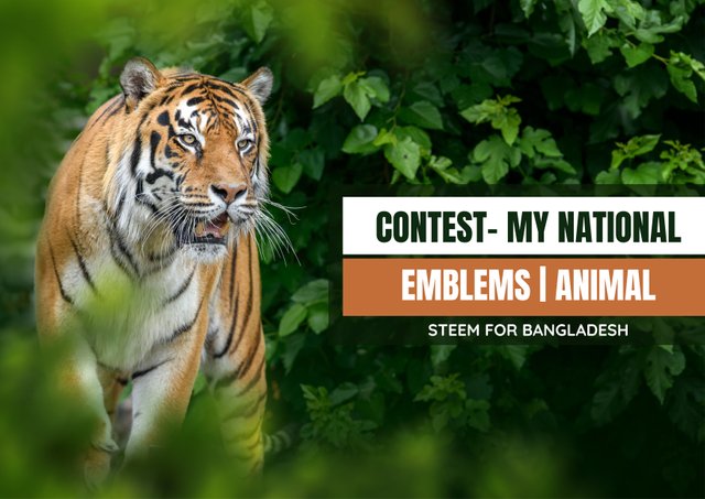 World Wildlife Conservation Classroom Poster in Green and Orange Realistic Style.jpg