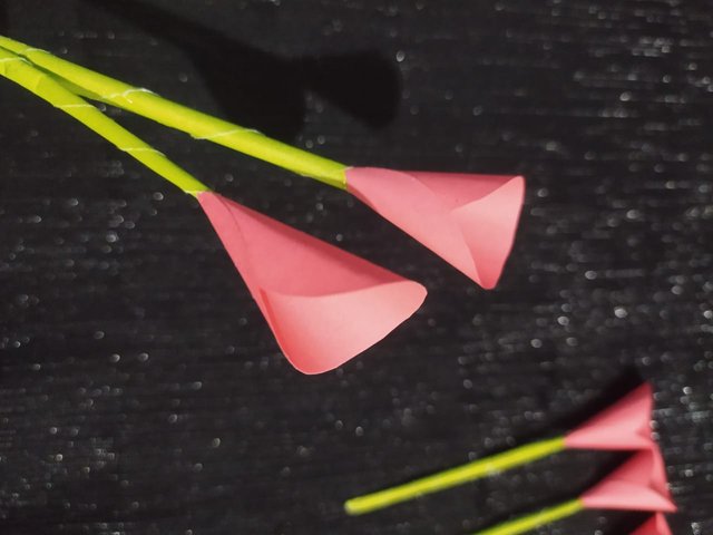 1000011086.jpg