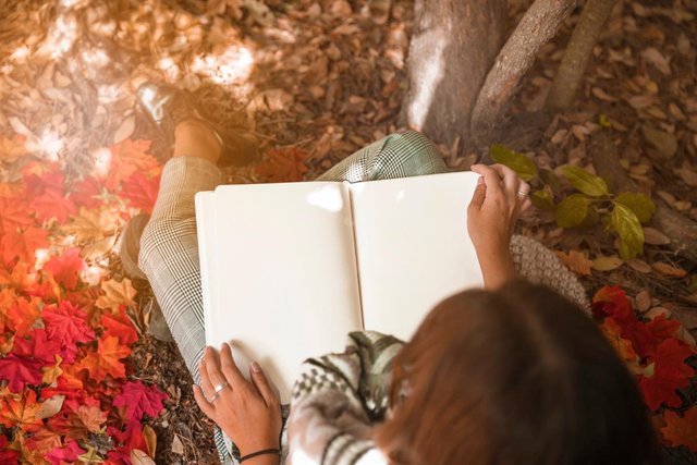 unrecognizable-woman-reading-sunny-day-forest.jpg