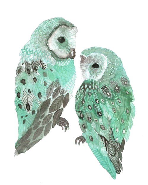 kisspng-barn-owl-bird-drawing-watercolor-painting-hand-painted-owl-5aa2035a034e32.7574397715205671300136.png