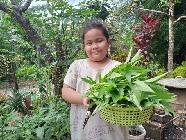 IMG20250617094316.jpg