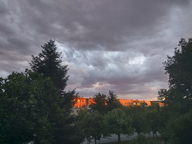 IMG_20250710_204033_HDR.jpg