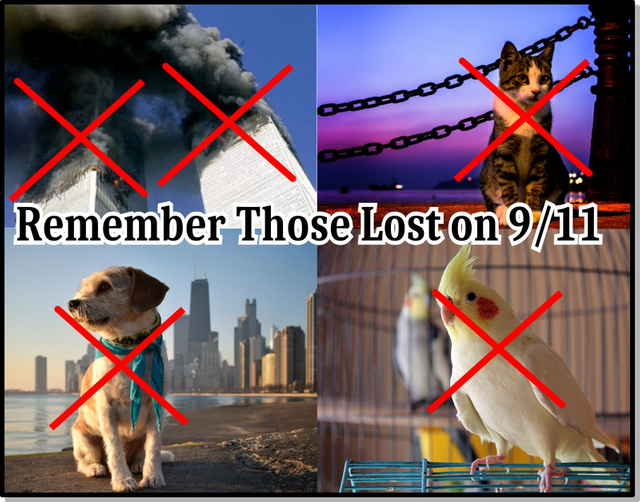 9-11PetsLost.png