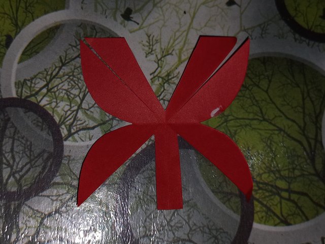 20250916_223723.jpg