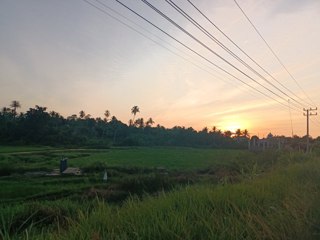 IMG20250617183712.jpg