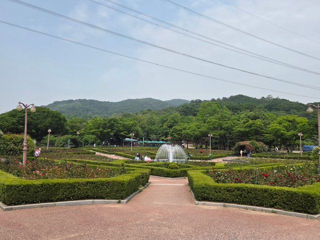 20250528_135023.jpg
