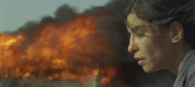 incendies.webp