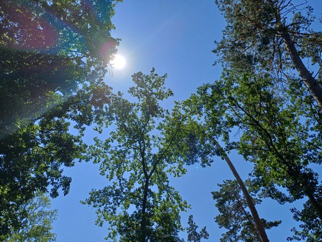 20250712_115714.jpg