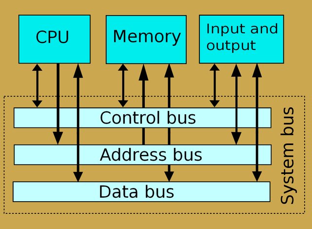 Types-of-computer-buses.jpg