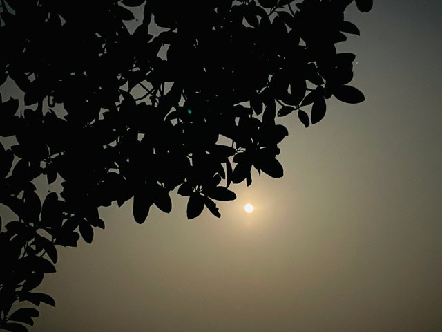 IMG_3174.jpeg