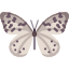 butterfly (2).png