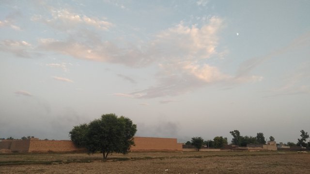 IMG20210915180601.jpg