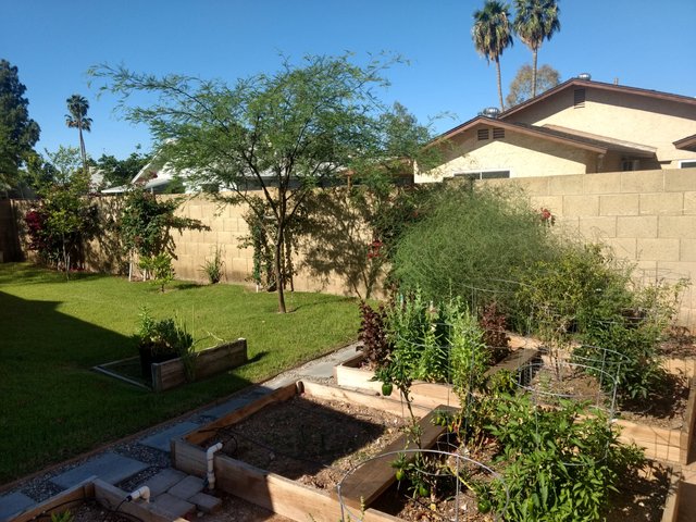 IMG_20200426_084416656_HDR.jpg