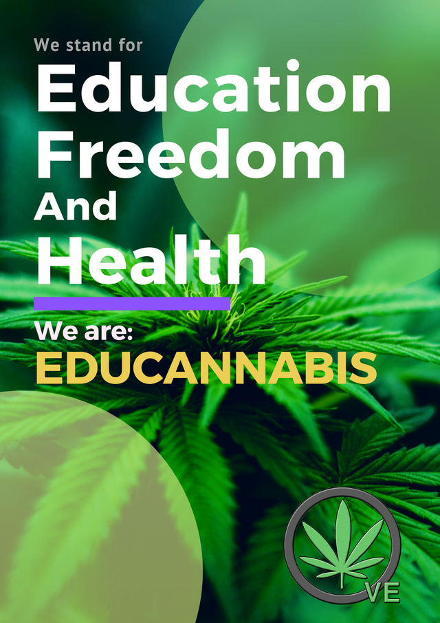 Educación Libertad Salud (2).png