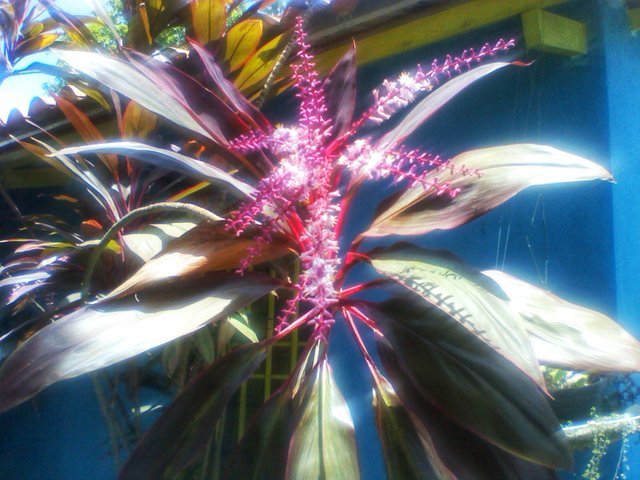 2016-06-15 12.20.54-01.jpeg