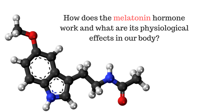 How does the melatonin hormone work and what are its physiological effects in our body_.png
