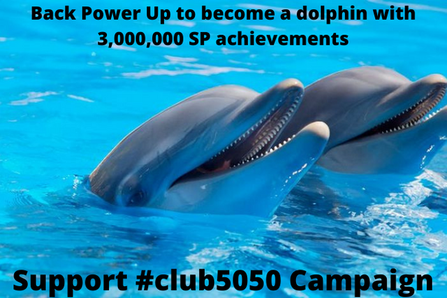 Back Power Up to become a dolphin with 3,000,000 SP achievements.png