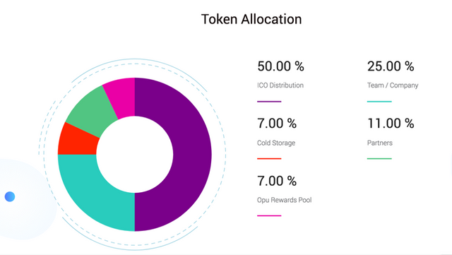 token_allocation.png