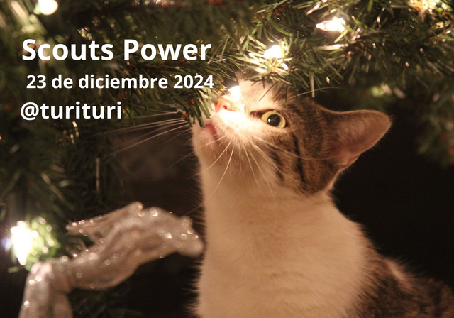 Scouts power turituri 23 diciembre.png