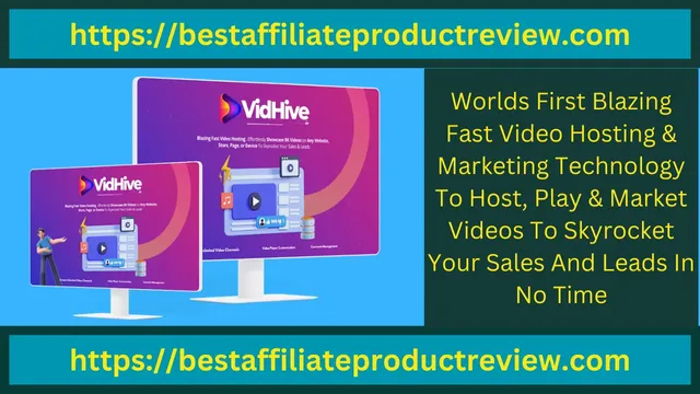 Vidhive Review.webp