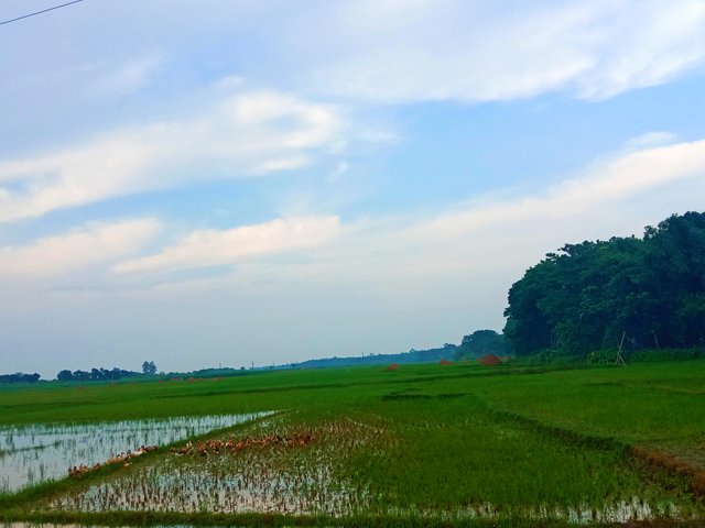 IMG_20250622_191847.jpg