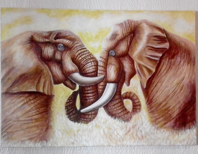 elefantes.jpg