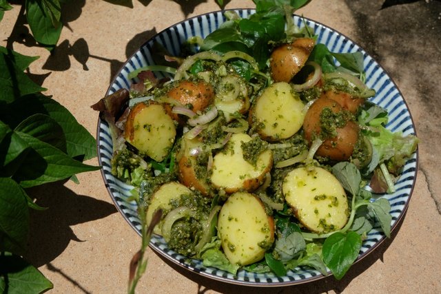 Vegan-Pesto-Potato-Salad-3.jpg