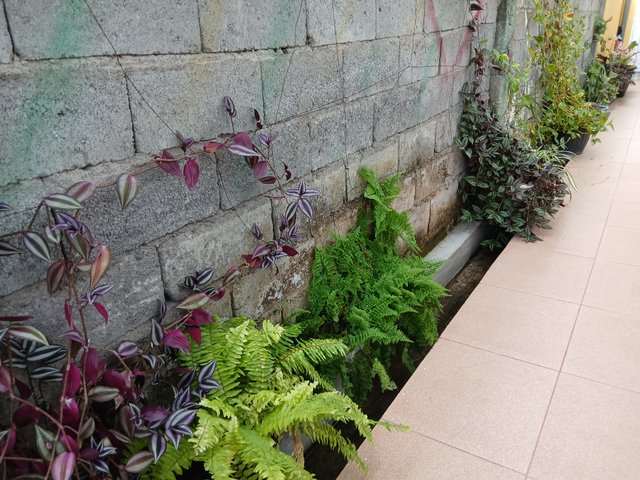 20250419_080953.jpg