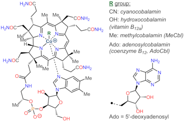 6Cobalamin.png