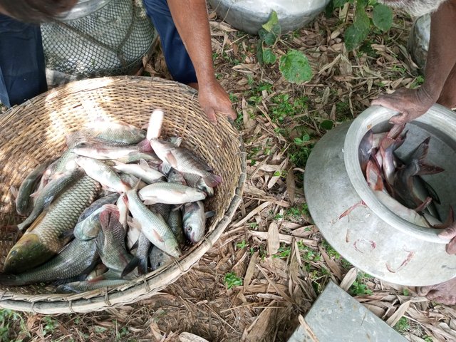 IMG_20250423_144109_812.jpg