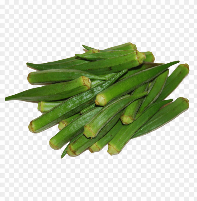 okra-11528342417i4wotvah6j.png