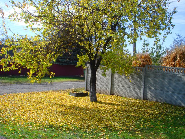 DSC03336.JPG