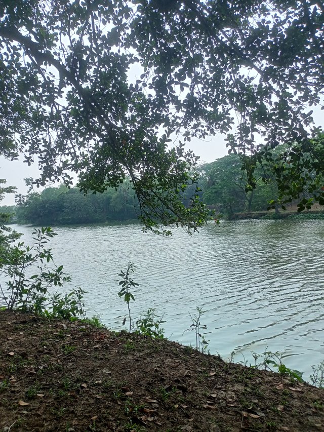 IMG20250423145046.jpg