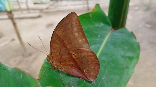 IMG20250520152000.jpg