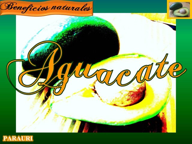 10 Aguacate.jpg