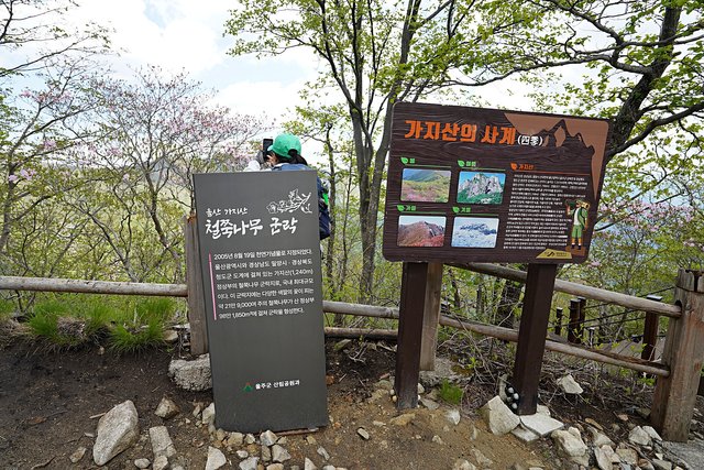 b-DSC08979.JPG