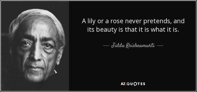 quote-a-lily-or-a-rose-never-pretends-and-its-beauty-is-that-it-is-what-it-is-jiddu-krishnamurti-144-75-12.jpg