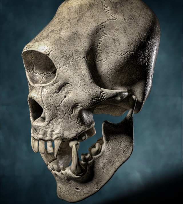 cyclop skull7 retouch.jpg