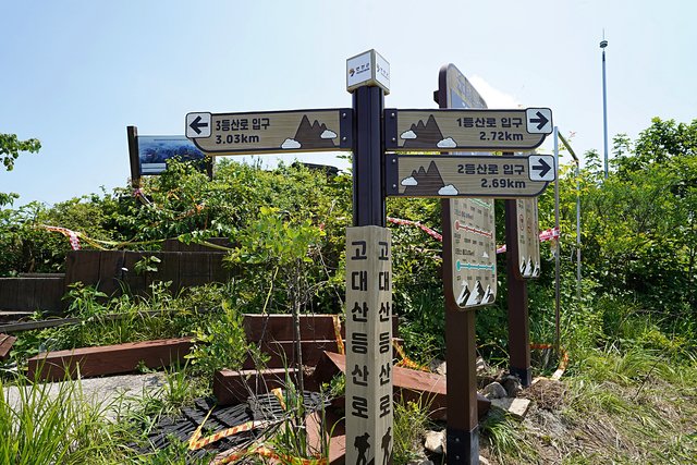 b-DSC07601.JPG